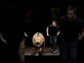 Ambushed in the Dark: Lion Leaps from Cave as Tourists Take Photos#movie#nature#lion#funny#film#edit