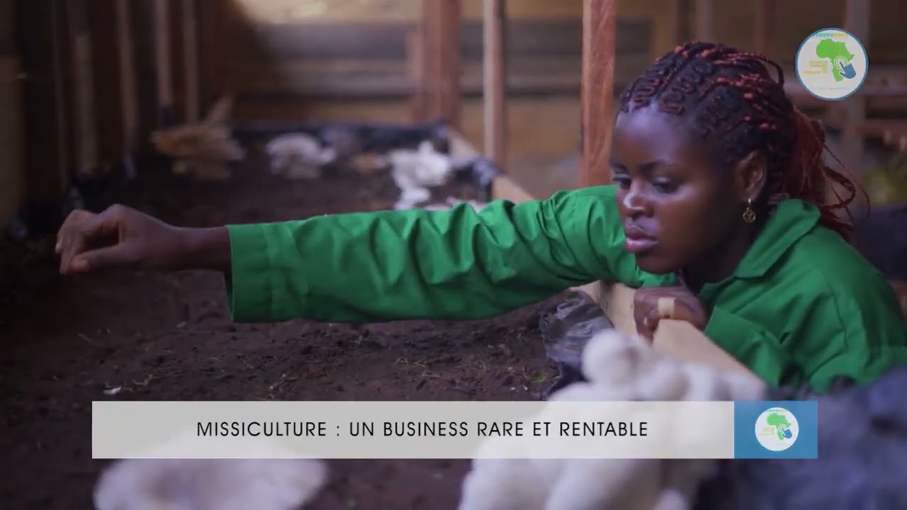 REPORTAGE SUR LA CULTURE DE CHAMPIGNON AU CAMEROUN