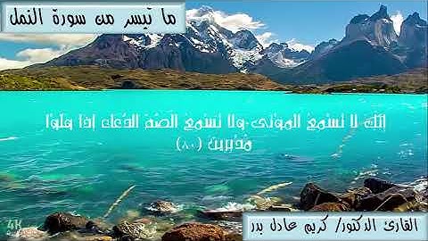 ما تيسر من سورة النمل ... د. كريم عادل بدر