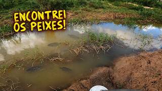 PEGUEI PEIXES NOVOS NO RIO PARA MEU LAGO