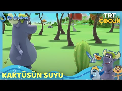 SU ELÇİLERİ | KAKTÜSÜN SUYU | TRT ÇOCUK