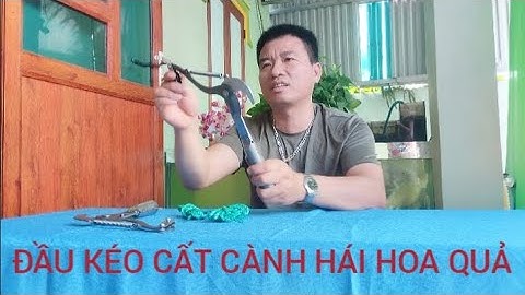 CÂY ĐẦU KÉO CẮT TỈA CÀNH CÂY HÁI HOA QUẢ TRÊN CAO AN TOÀN THUẬN TIỆN CHO MỌI NHÀ 