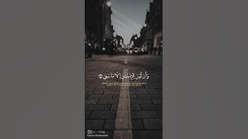 تلاوة مؤثرة جدًا | آية تشرح الصدر وتطمئن القلب