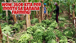 Banana Farmer Kumikita ng 360K per month sa 1 and half Hektar na Saging