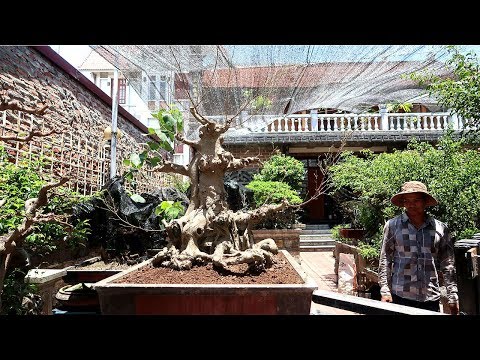 Video Nhất trụ kình thiên - youtube