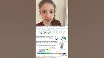 Proline saves the day! Spike stabilization through stiff substitutions #20daysofaminoacids Day 9