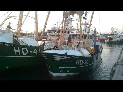 Visserij de HD 4 sleept de HD 30 (met Pech) de haven van Den Helder binnen.