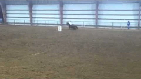 Jenna Shelly Barrel Racing
