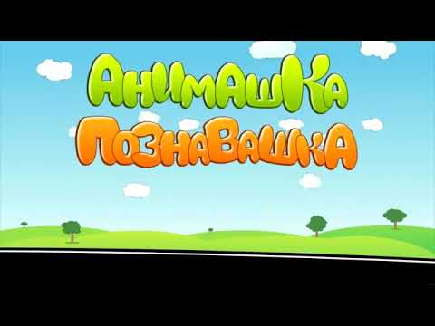 Анимашка познавашка (новый сезон)