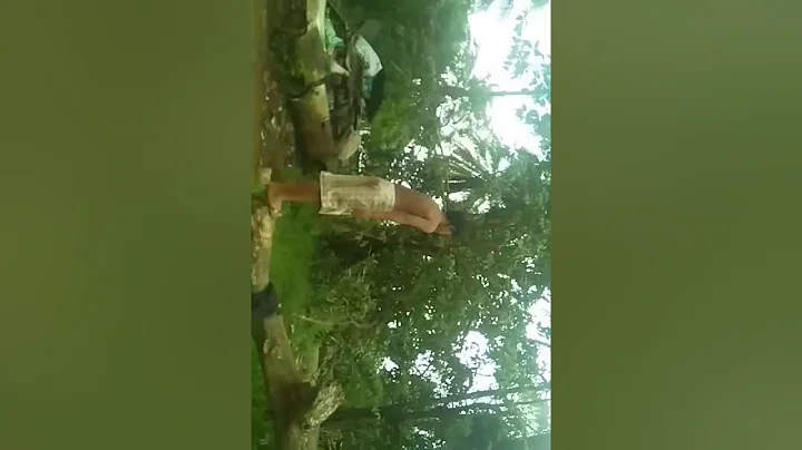 Move in pohnpei Peltin Paul Marques Germinaro