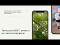 Тонкости АСИТ. Вебинар от 13.02.2022