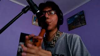 Video thumbnail of "Celeste - San Juanito Remix (Quena cover)"