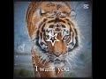 Tiger 🐅❤️#dlaciebie #zwierzaki #wbijesię #edit #capcut #cat #wildlife #Tiger #therian