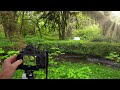 📷 3 TIPS for BETTER FOREST PHOTOGRAPHY | Landscape Photography Tips