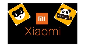 XIAOMI DOES NOT RECOGNIZE GAMEPAD! (solved)