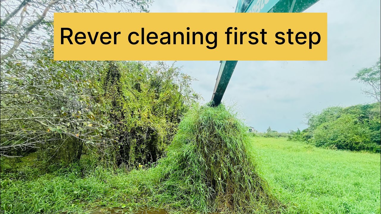 Watch how an Amphibious Excavator cleans a river filled with overgrown reeds and floating plants.💪🤝