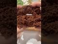ココア蒸しパン