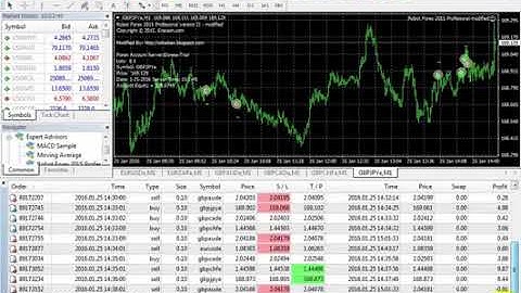scalping forex robot live trading with proof | Download