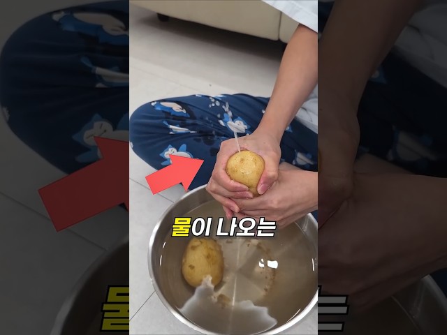 감자를 얼렸다가 짜내면 벌어지는 일 ㄷㄷ