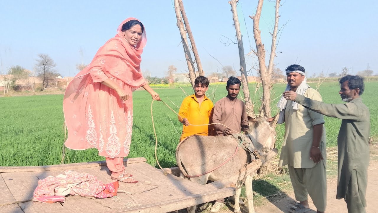 February 20, 2026.funny video punjabi culture Fatima Rajput Malangi pakistani drama 🤣