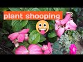 आइये देखिये कुछ प्लांट खरीद लिए वो भी घर पर बिना नर्सरी जाये #plantshooping #permanent plant🙏🙄💞🤩🍀🌼🌹