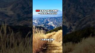 【悲惨】景色ゼロ！頑張ったのに報われなかった大野山登山旅