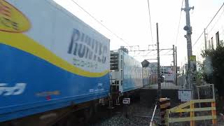 JR貨物 EF210-354号機（吹田）＋コキ24両　貨物列車69レ 2024.09.06