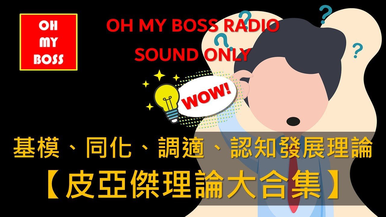 皮亞傑理論大合集 基模 適應 同化 調適 發生知識論 認知發展理論