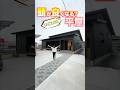 ㊗️60万再生🎉【平屋ルームツアー】リビング31帖の平屋!実は頭が良くなる平屋? #shorts