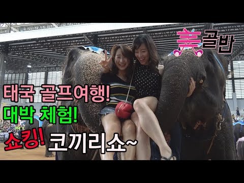 [미녀 골프에 반하다 in 태국/파리차C.C] #10회 태국 골프여행~ 대박 체험! 코끼리쇼~