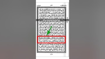 Surah Al Rahman Ayat 58 - 59 | سورة الرحمن | #tajweed #short
