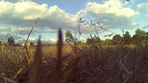 [ Mjx Bugs 3 ] COME TO ME - Acivii & Alesso