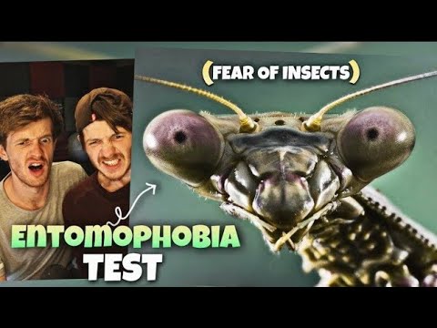 Try Not To Look Away! (FEAR OF BUGS) ENTOMOPHOBIA Test... 🦟