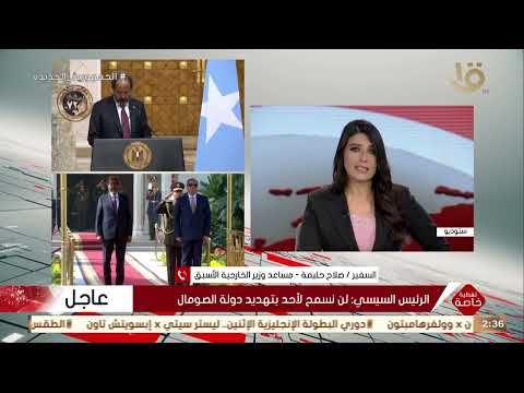 نتائج ومخرجات مباحثات الرئيس السيسي والرئيس الصومالي يستعرضها السفير صلاح حليمة