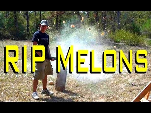 Shooting Food with Shotguns