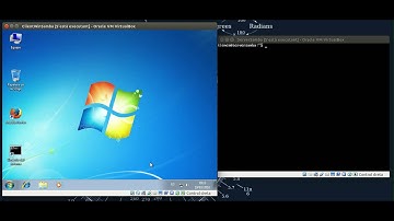 Domini Linux Samba gestionat des de client Windows