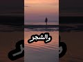 رسالة لكل جبار في الأرض الله هو الملك استغفر الله أحمد العربي
