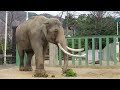 2026.03.15 10:09 マック エンリッチメント、ズゼ おやつ(※けいさん撮影)