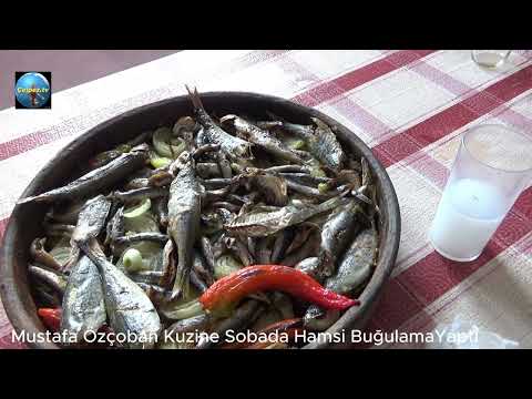 Çelpez.tv:Mustafa Özçoban Kuzine Sobada Hamsi Buğulama Yaptı