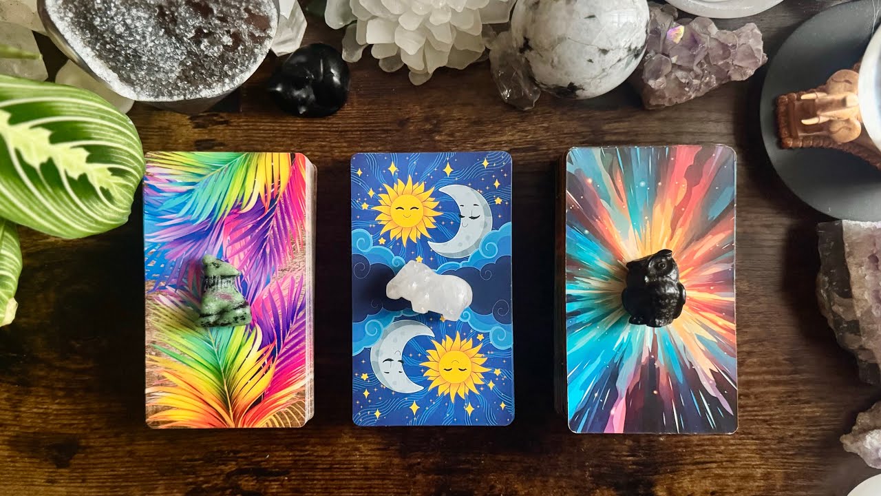 You & Them ENERGY CHECK & THEIR FEELINGS! 🐺🦛🦉🤔 PICK A CARD Reading 🤔🦉🦛🐺 TIMELESS
