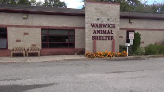 VIDEO NOW: Warwick Animal Shelter Director gives symptoms to look out for in your pet