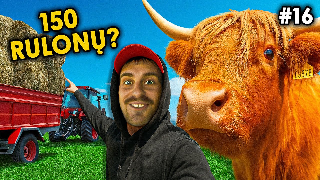 150 rulonų, bielkis ir alkani hailenduzai! // JAUNASIS ŪKININKAS #16