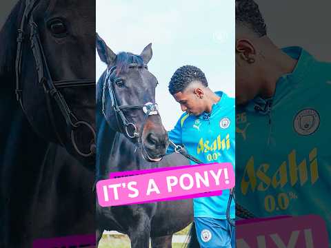 😍😍😍 Savinho is absolutely obsessed with ponies! 🐴  #mancity  #savinho  #horse