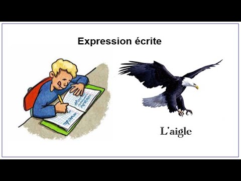 Expression écrite Description D Un Animal L Aigle