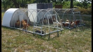 Chicken Tractor Good Design Practices, Tips & Tricks For Building, Ideas