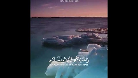 ﴿ والله يدعو الى دار السلام ﴾ القارئ رعد الكردي || حالات واتس آب اسلامية قرآن كريم#allah