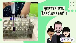 การทดลอง 3.3 ความเข้มข้นต่างๆ