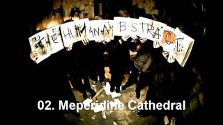 The Human Abstract Ep 02. Meperidine Cathedral
