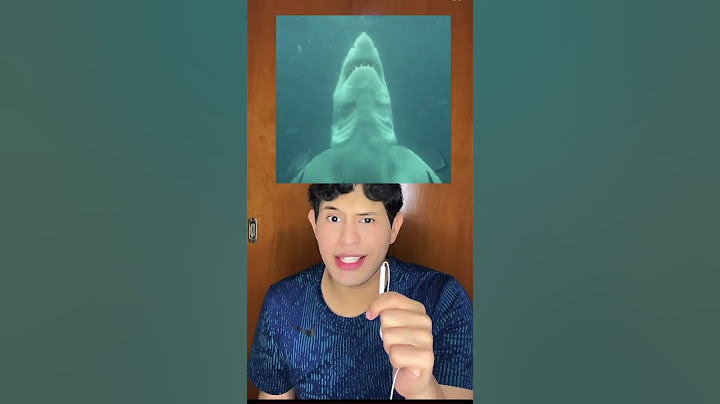 Hay una cara aterradora escondida en esta imagen de un tiburón #Shorts