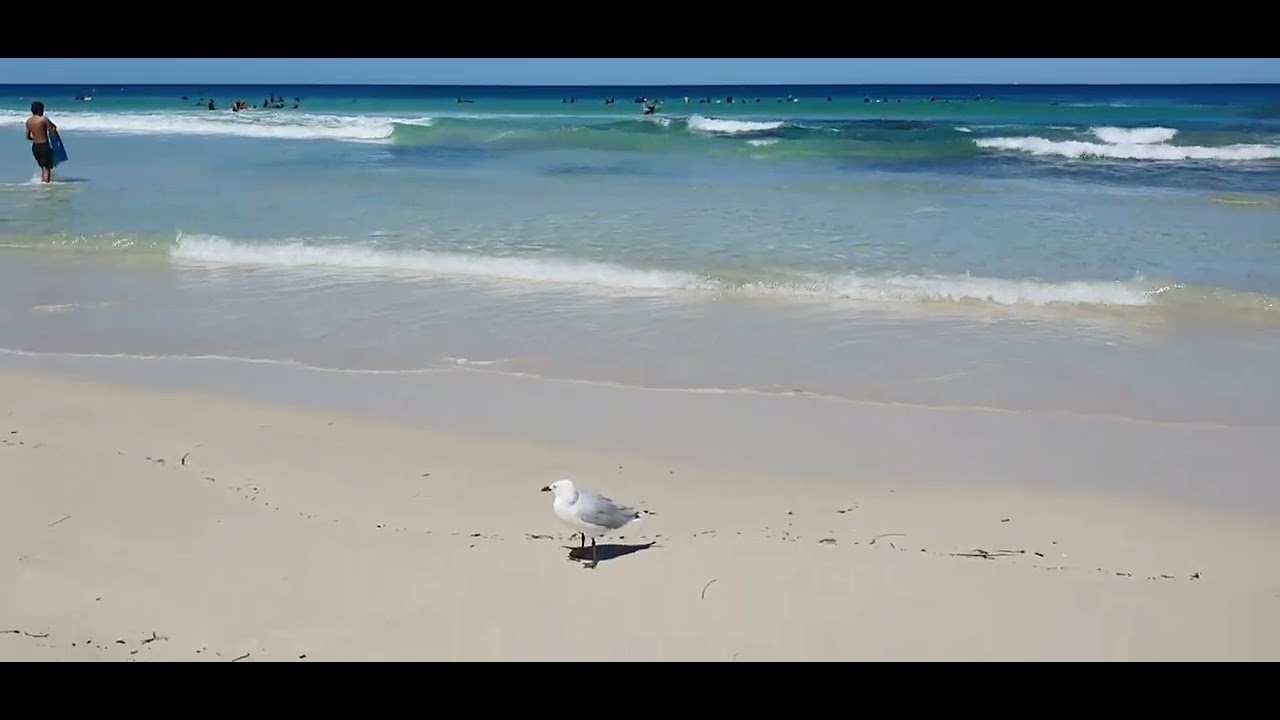 Australia 🇦🇺 Beach ,cleanest & crystal clear water 
